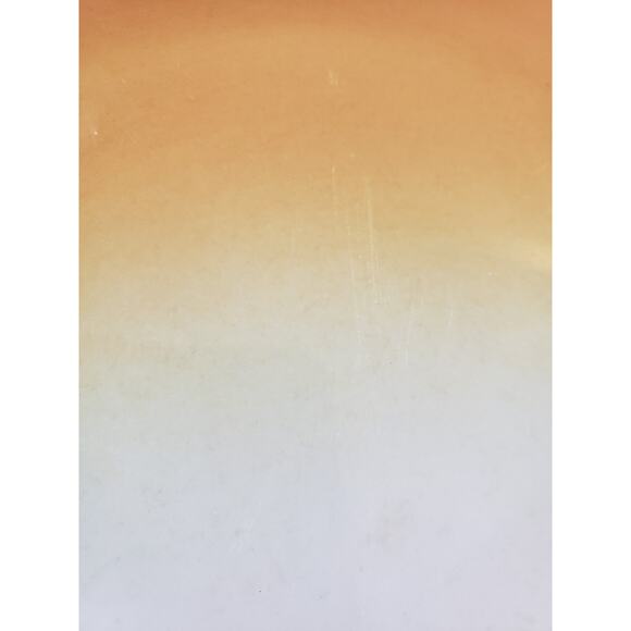 Jackson China Greentree Airbrushed Orange White Restaurant Ware Dinner Plate - Picture 8 of 9